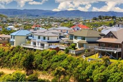 New Zealand was once a homeowner's dream, now just 60 percent of households own the house they live in - and that's on the slide, a housing advocate says.