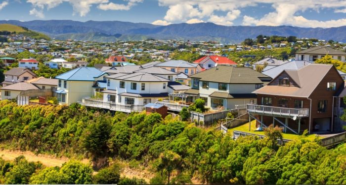 New Zealand was once a homeowner's dream, now just 60 percent of households own the house they live in - and that's on the slide, a housing advocate says.