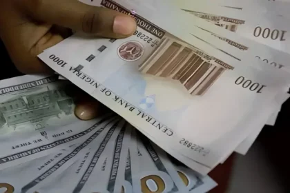 Forex: Renewed Naira depreciation begins as market turnover falls 25%