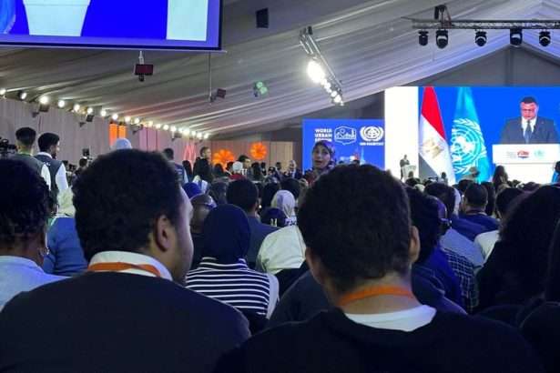 Delegates at the 12th World Urban Forum (WUF12) concluded the event by adopting the transformative "Cairo Call to Action,"