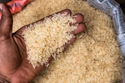 Thailand Rice Shipment Sparks Debate Amid Nigeria's Food Inflation Woes