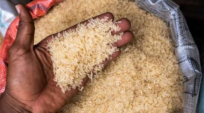 Thailand Rice Shipment Sparks Debate Amid Nigeria's Food Inflation Woes